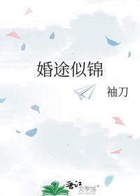 婚途似锦